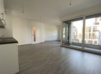 Pronájem bytu 1+kk v osobním vlastnictví 45 m², Praha 3 - Žižkov