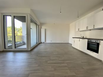 Pronájem bytu 1+kk v osobním vlastnictví 45 m², Praha 3 - Žižkov