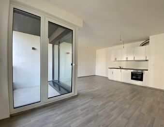 Pronájem bytu 1+kk v osobním vlastnictví 45 m², Praha 3 - Žižkov