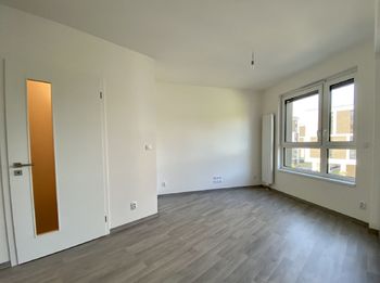 Pronájem bytu 1+kk v osobním vlastnictví 45 m², Praha 3 - Žižkov