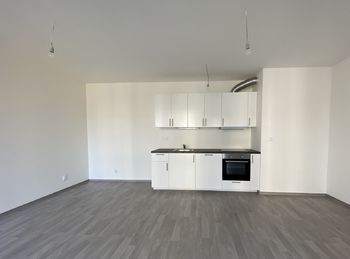 Pronájem bytu 1+kk v osobním vlastnictví 45 m², Praha 3 - Žižkov