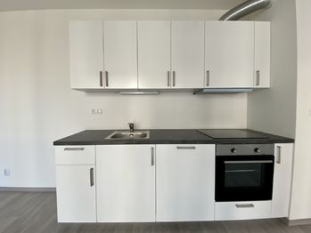 Pronájem bytu 1+kk v osobním vlastnictví 45 m², Praha 3 - Žižkov