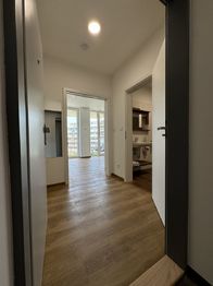 Pronájem bytu 1+kk v osobním vlastnictví 27 m², Olomouc