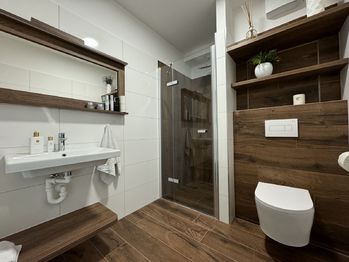 Pronájem bytu 1+kk v osobním vlastnictví 27 m², Olomouc