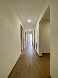 Pronájem bytu 3+kk v osobním vlastnictví 76 m², Plzeň