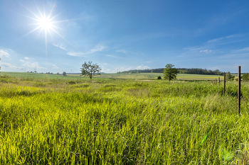 Prodej pozemku 1013 m², Cekov