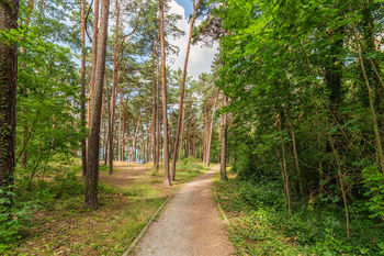 Pronájem bytu 2+kk v osobním vlastnictví 47 m², Plzeň