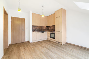 Pronájem bytu 2+kk v osobním vlastnictví 47 m², Plzeň