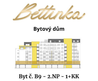 Pronájem bytu 1+kk v osobním vlastnictví 34 m², Plzeň