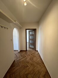 Pronájem bytu 1+1 v osobním vlastnictví 44 m², Plzeň