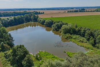 Prodej pozemku 70890 m², Malešov