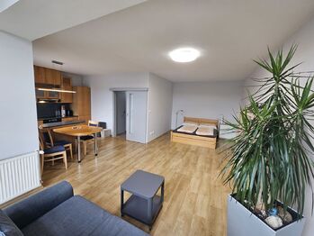 Pronájem bytu 1+kk v osobním vlastnictví 46 m², Vestec