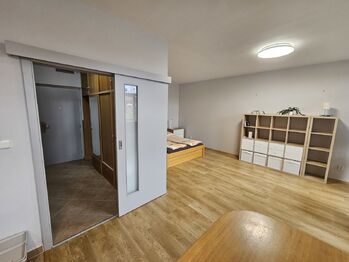 Pronájem bytu 1+kk v osobním vlastnictví 46 m², Vestec