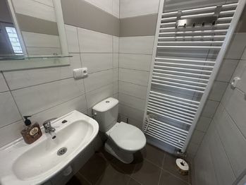 Pronájem bytu 1+1 v osobním vlastnictví 32 m², Slavkov u Brna