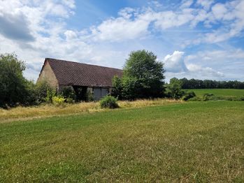 Prodej zemědělského objektu 41641 m², Nalžovské Hory