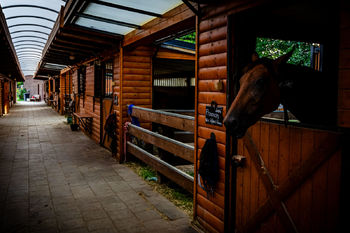 Prodej pozemku 28500 m², Baška