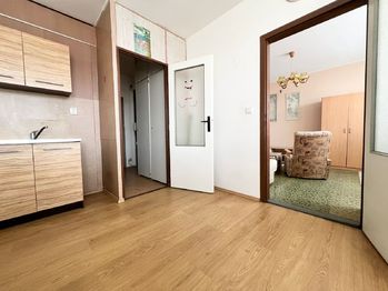 Prodej bytu 1+1 v družstevním vlastnictví 31 m², Teplice