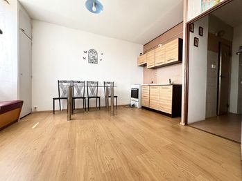 Prodej bytu 1+1 v družstevním vlastnictví 31 m², Teplice