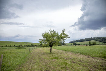 Prodej pozemku 628 m², Loučka