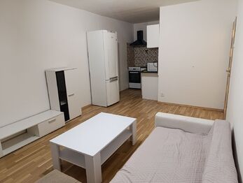 Pronájem bytu 2+kk v družstevním vlastnictví 40 m², Krupka