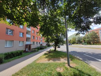 Prodej bytu 3+1 v osobním vlastnictví 72 m², Bučovice