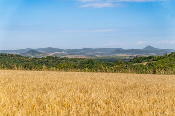 Prodej pozemku 1499 m², Martiněves