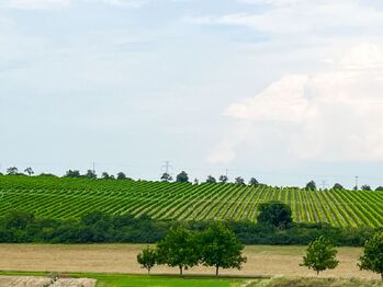 Prodej domu 71 m², Jezeřany-Maršovice