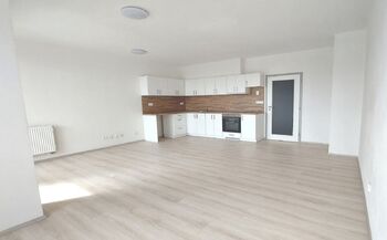 Pronájem bytu 1+kk v osobním vlastnictví 40 m², Plzeň