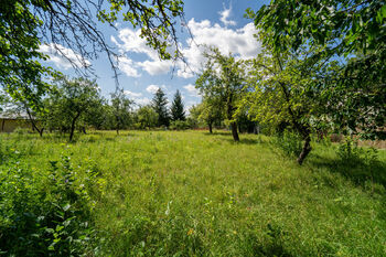 Pohled na nabízený pozemek - Prodej pozemku 702 m², Chlumec nad Cidlinou