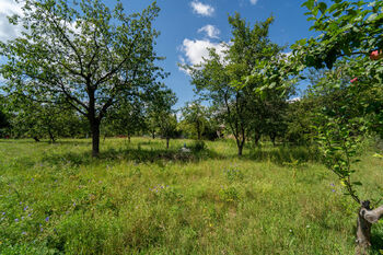 Pohled na nabízený pozemek - Prodej pozemku 702 m², Chlumec nad Cidlinou