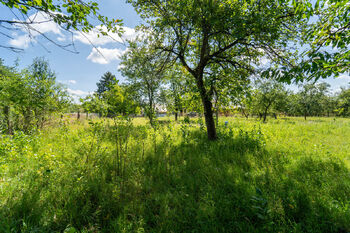 Pohled na nabízený pozemek - Prodej pozemku 707 m², Chlumec nad Cidlinou