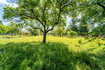 Pohled na nabízený pozemek - Prodej pozemku 707 m², Chlumec nad Cidlinou