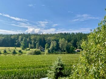 Prodej chaty / chalupy 96 m², Týn nad Vltavou