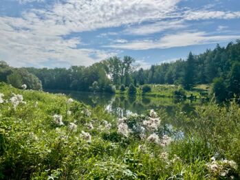 Prodej chaty / chalupy 96 m², Týn nad Vltavou