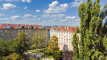 pohled z parku - Prodej bytu 3+kk v osobním vlastnictví 126 m², Brno