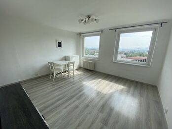 Pronájem bytu 1+kk v družstevním vlastnictví 32 m², Teplice