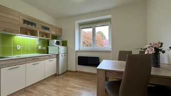 Pronájem bytu 1+1 v osobním vlastnictví 29 m², Lipno nad Vltavou