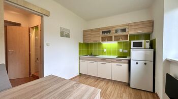 Pronájem bytu 1+1 v osobním vlastnictví 29 m², Lipno nad Vltavou