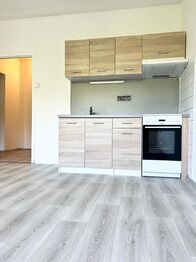 Pronájem bytu 2+kk v družstevním vlastnictví 46 m², Teplice