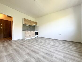 Pronájem bytu 2+kk v družstevním vlastnictví 46 m², Teplice