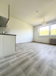 Pronájem bytu 2+kk v družstevním vlastnictví 46 m², Teplice