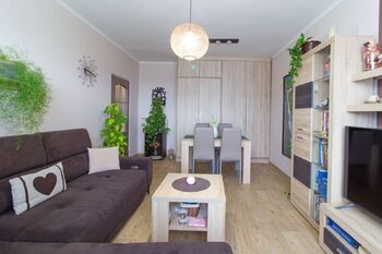 Pronájem bytu 1+1 v osobním vlastnictví 40 m², Planá nad Lužnicí