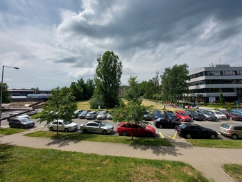 Prodej bytu 1+kk v osobním vlastnictví 25 m², Ostrava