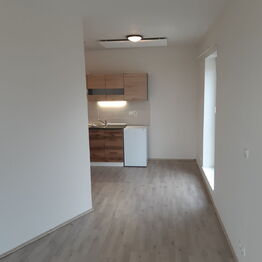 Pronájem bytu 1+kk v osobním vlastnictví 24 m², Škvorec