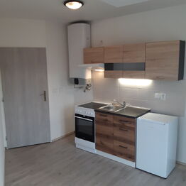 Pronájem bytu 1+kk v osobním vlastnictví 24 m², Škvorec