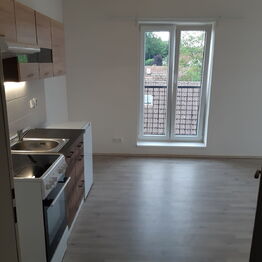 Pronájem bytu 1+kk v osobním vlastnictví 24 m², Škvorec