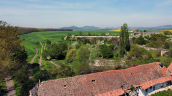 Prodej zemědělského objektu 2500 m², Počedělice