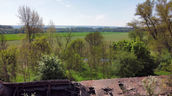 Prodej zemědělského objektu 2500 m², Počedělice