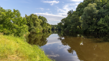 Prodej zemědělského objektu 2500 m², Počedělice