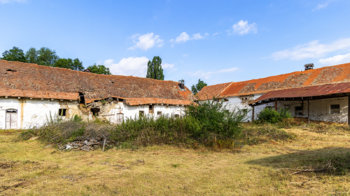 Prodej zemědělského objektu 2500 m², Počedělice